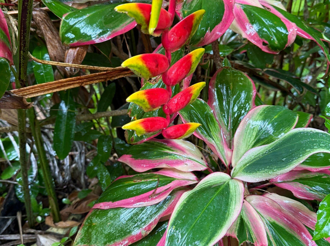 Parada La Manzana-Santa Barbara de Samana必去景点