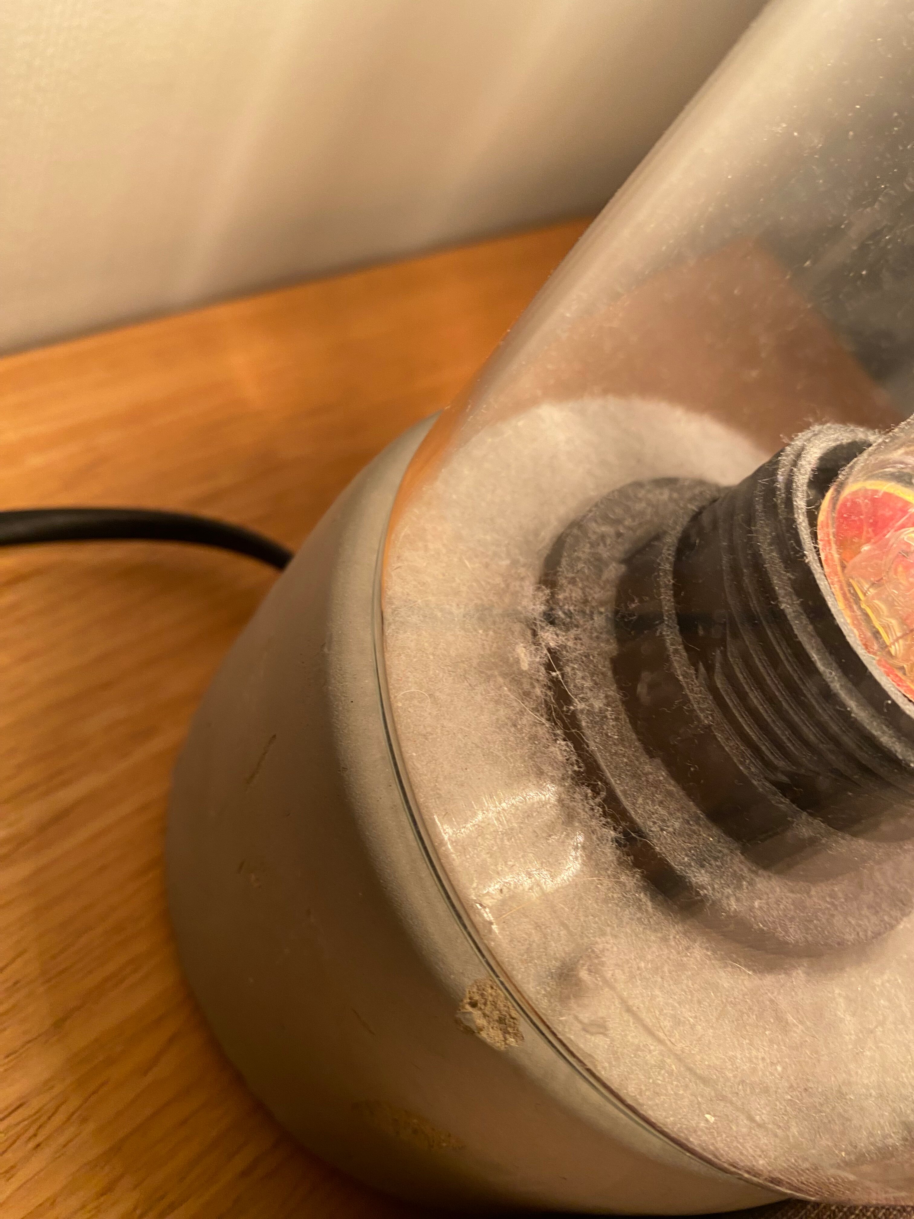 Nautilus Mooloolaba-官方