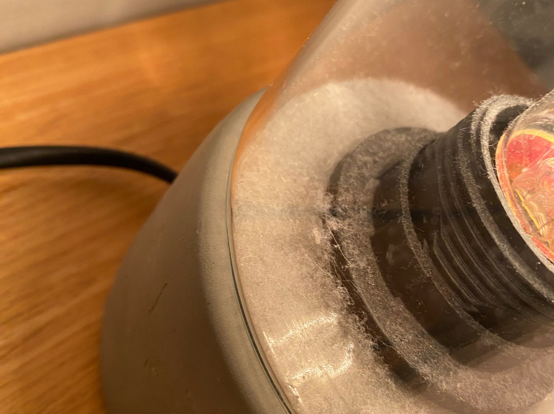 Nautilus Mooloolaba主图