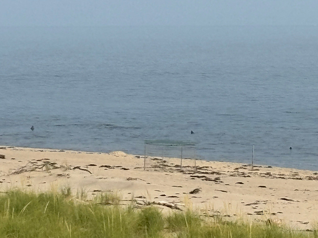 Dune Shacks Trail-普罗温斯敦必去景点
