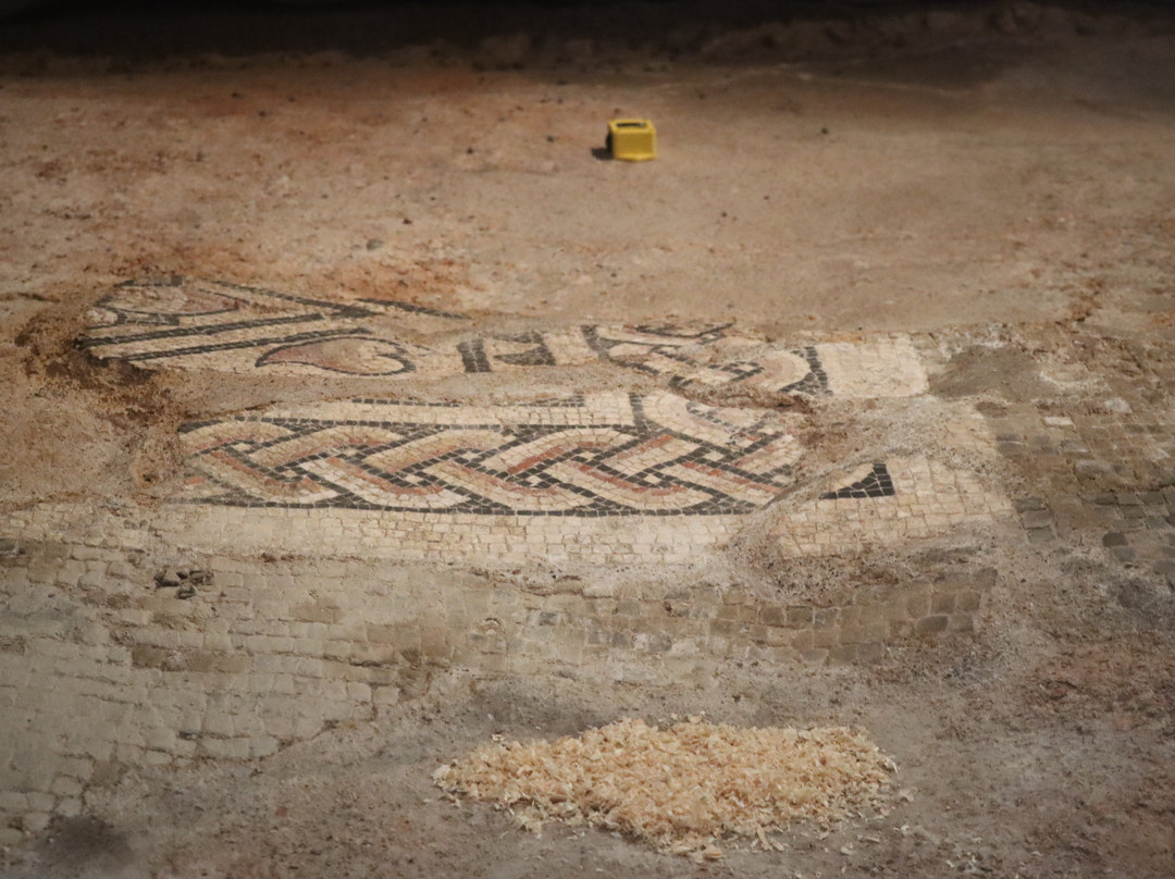 Canterbury Roman Museum-坎特伯雷必去景点