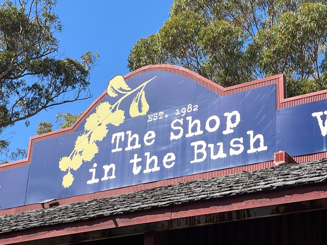The Shop in the Bush-圣海伦火山必去景点