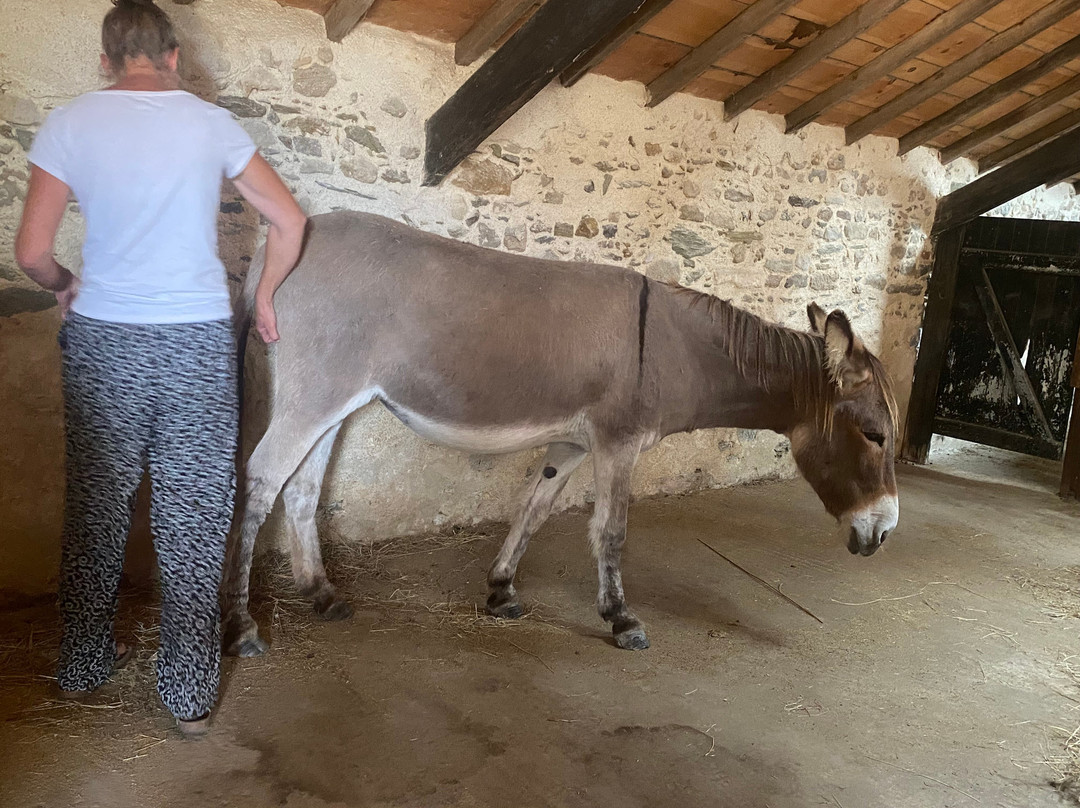 La Maison de l'Âne-Beauvoir-Sur-Mer必去景点