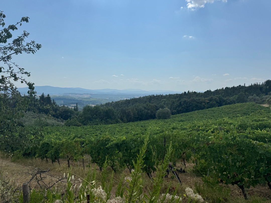 Sant'Agnese Farm-卡斯特利纳－因基安蒂必去景点