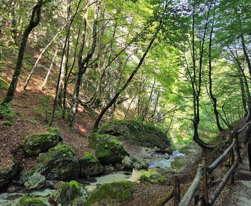 La Camosciara-Civitella Alfedena必去景点