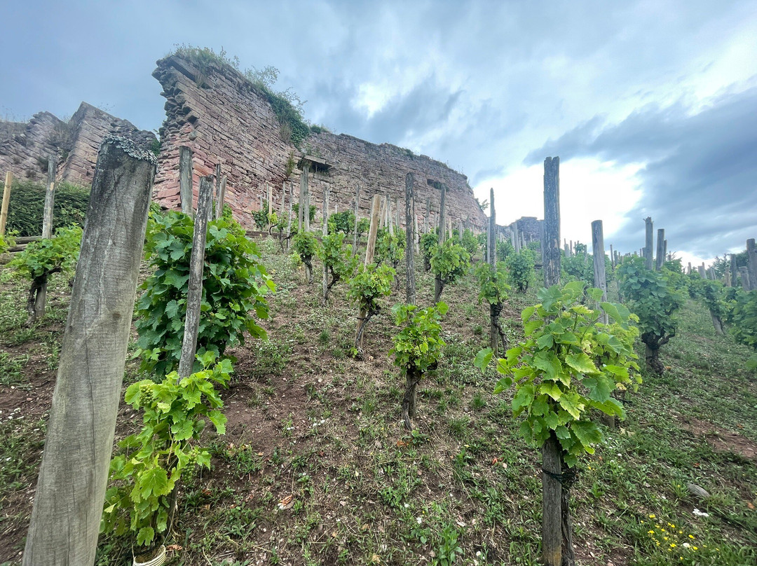 Chateau d'Epinal-埃皮纳勒必去景点