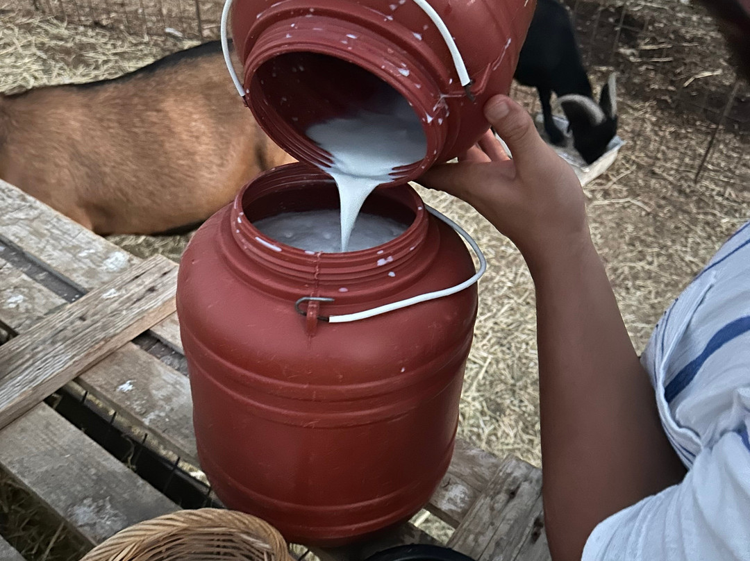 Anthi Farm Sifnos-Apollonia必去景点