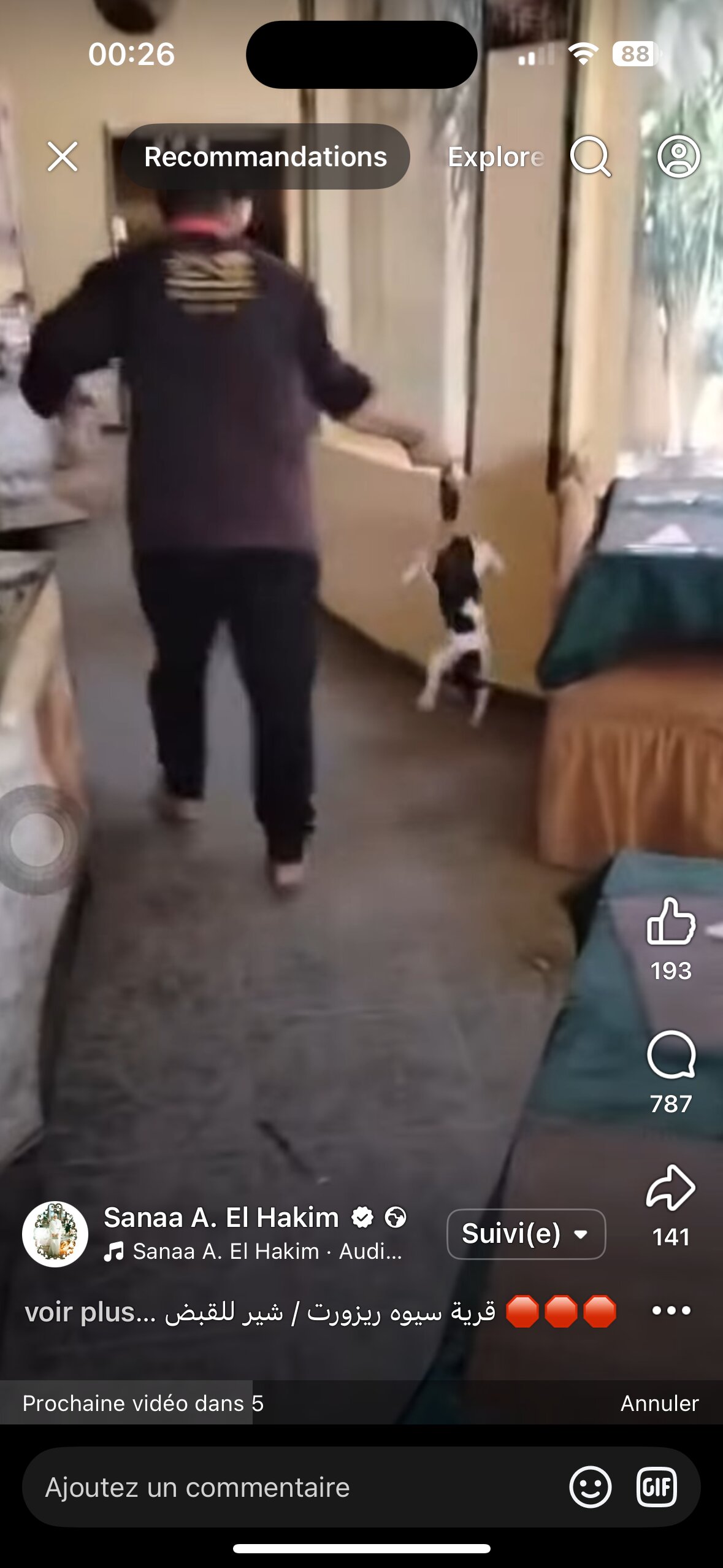 Siwa Shali Resort-官方