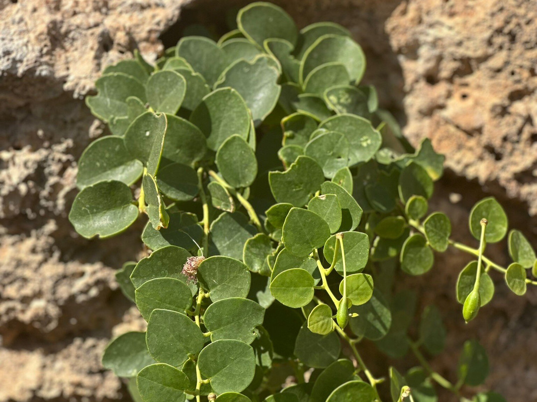 Loutro Holidays主图