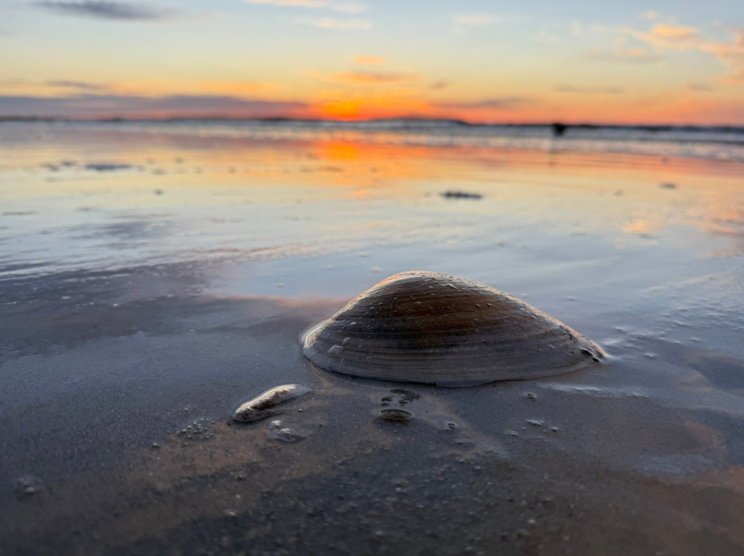 Moontide Motel, Cabins and Apartments主图