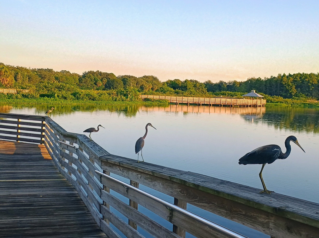 Green Cay Nature Center and Wetlands-博因顿海滩必去景点