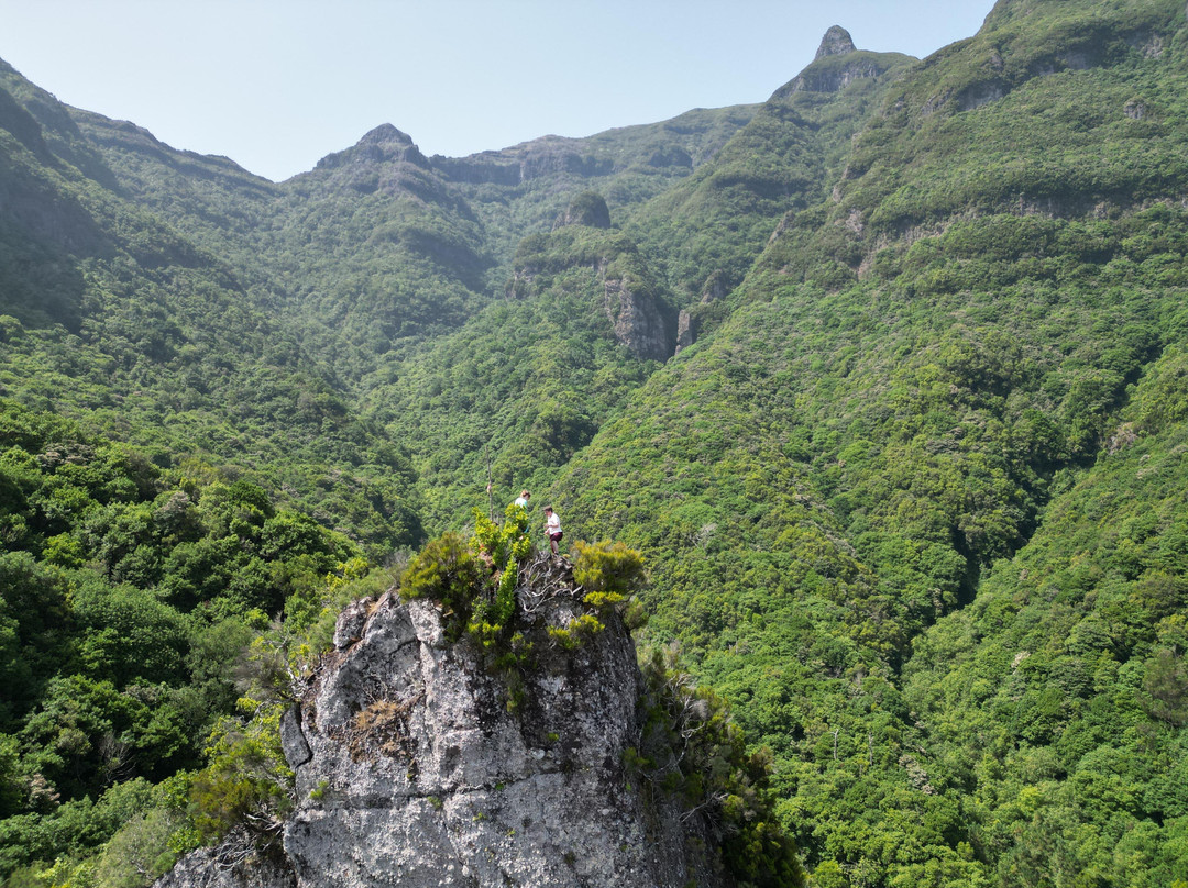Madeira Wonder Hikes-沙尔必去景点