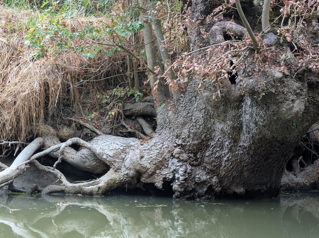 Embarcadère de l'Abbaye-Maillezais必去景点