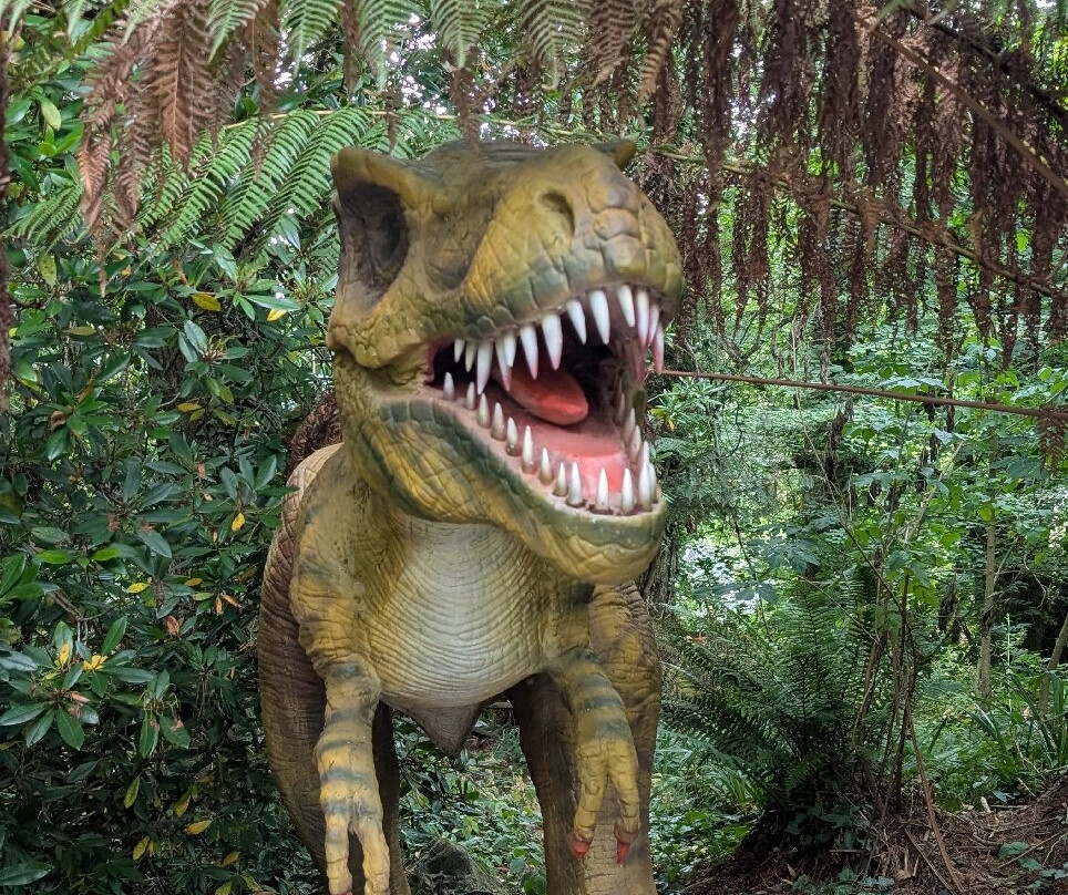 Combe Martin Wildlife And Dinosaur Park-伊尔弗勒科姆必去景点