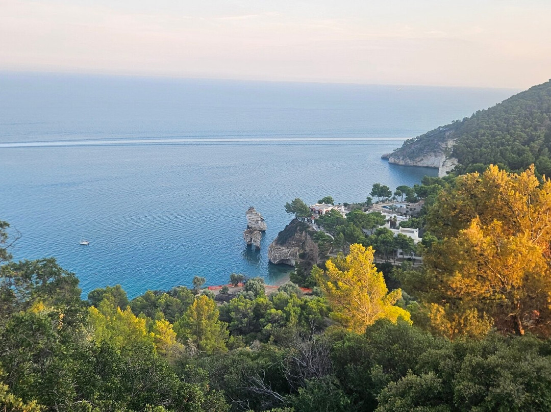 Baia delle Zagare-Mattinata必去景点