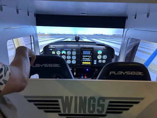 Wings Academy-新加坡必去景点