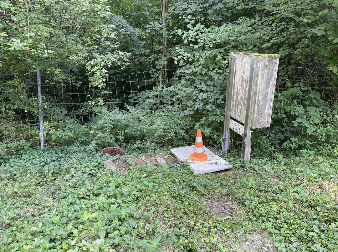 Camping Le Mont De Bruyeres