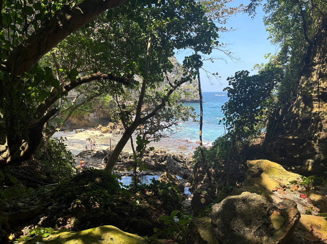Tembeling Beach and Forest-珀尼达岛必去景点