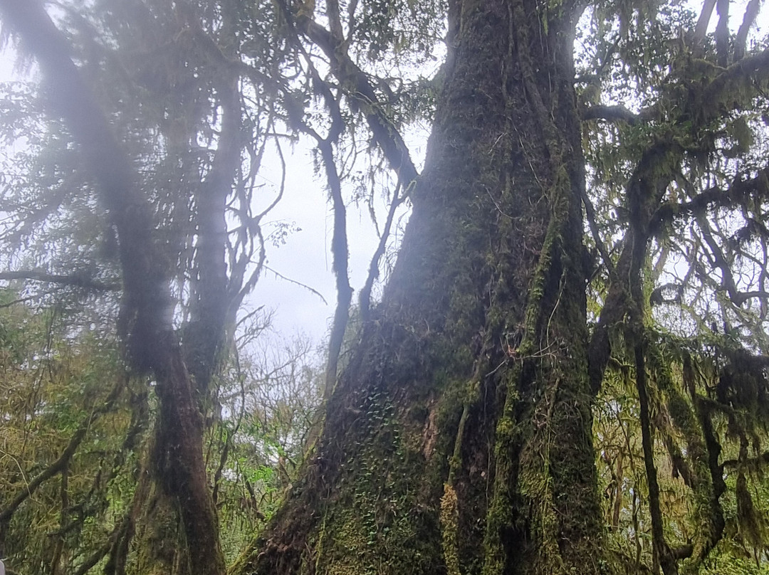 Posta Inca Turismo Activo & Expediciones-圣胡安省必去景点