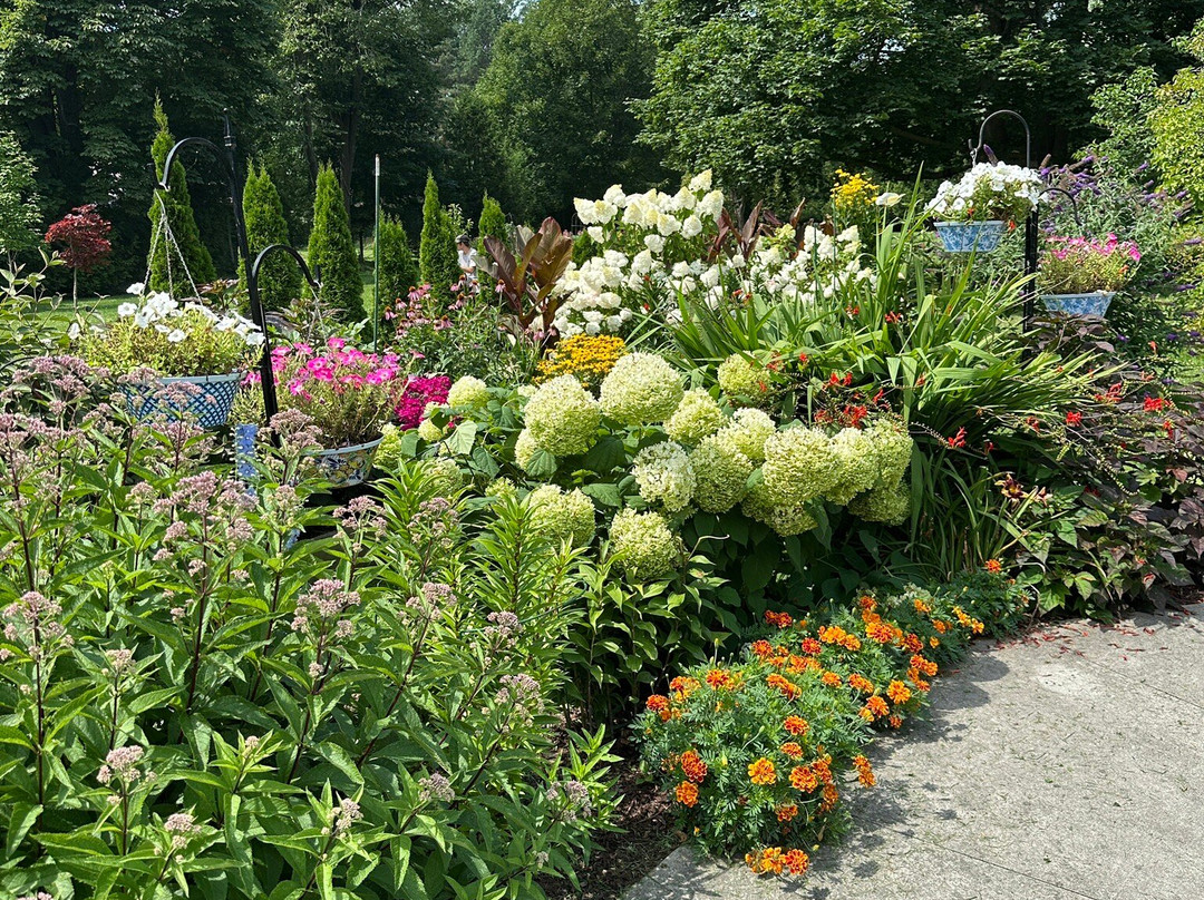 Bellaire Motel主图