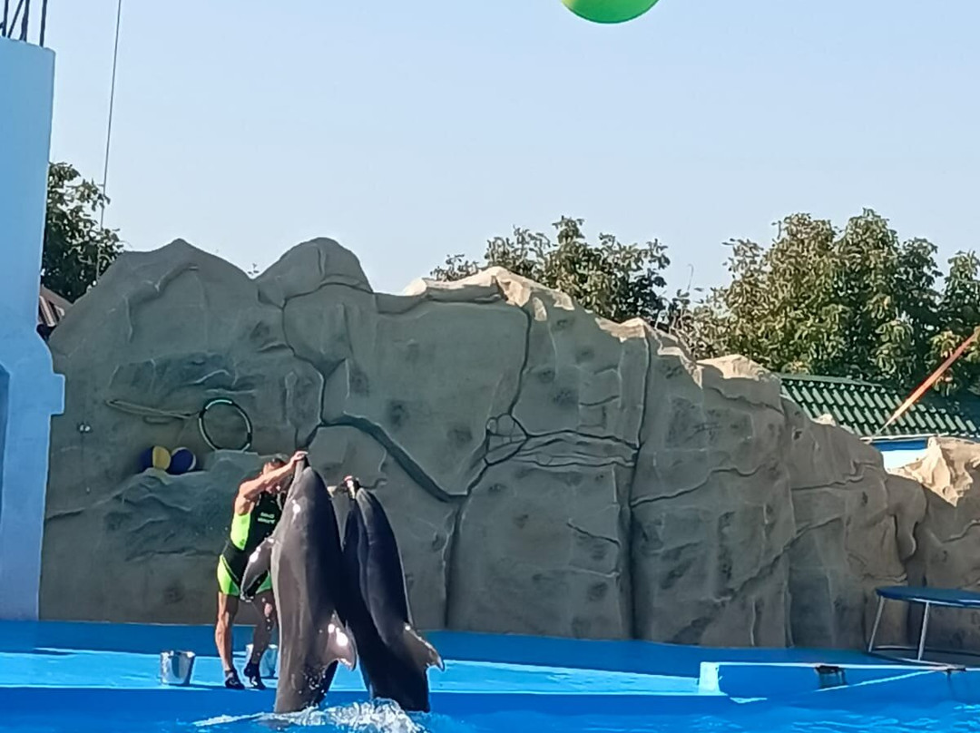 Dolphinarium-Yeysk必去景点
