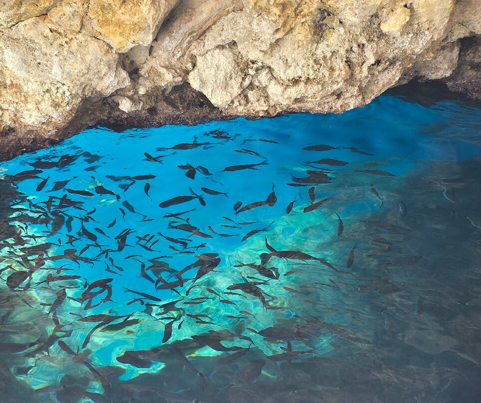 Triton Marine Tours-Paleokastritsa必去景点