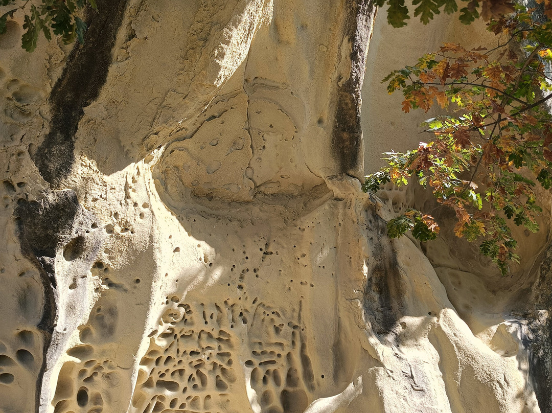 Grotte Di Soprasasso-Vergato必去景点