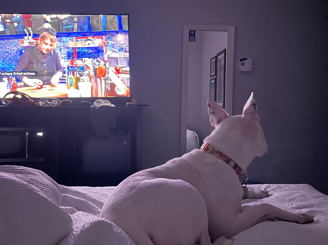 La Quinta Inn & Suites by Wyndham Columbus - Edinburgh主图