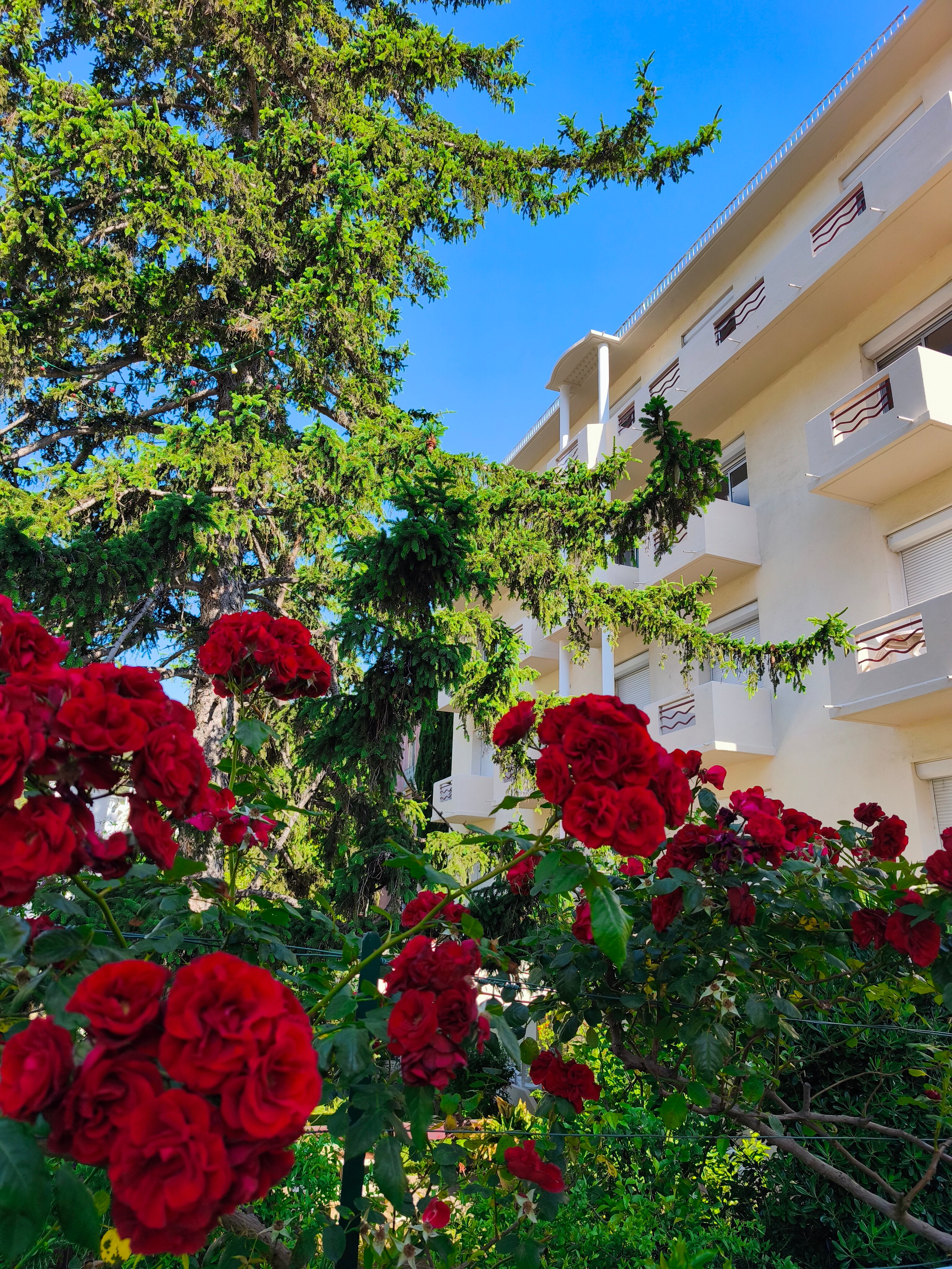 Hotel La Pergola-浴室