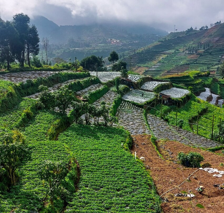 Bismo Mountain-Wonosobo必去景点