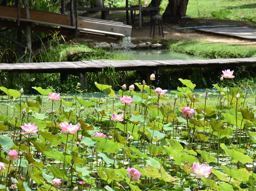 Old Phuket Farm-Thep Krasattri必去景点