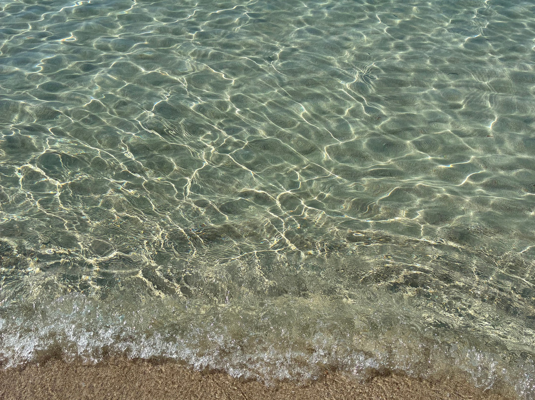 Spiaggia di Punta Prosciuto-Punta Prosciutto必去景点