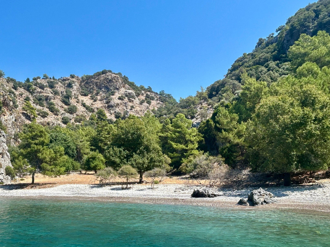 Dalyan Yemekli Tekne Kooperatifi - Dalyan Catered Boat Corporation-达利安必去景点