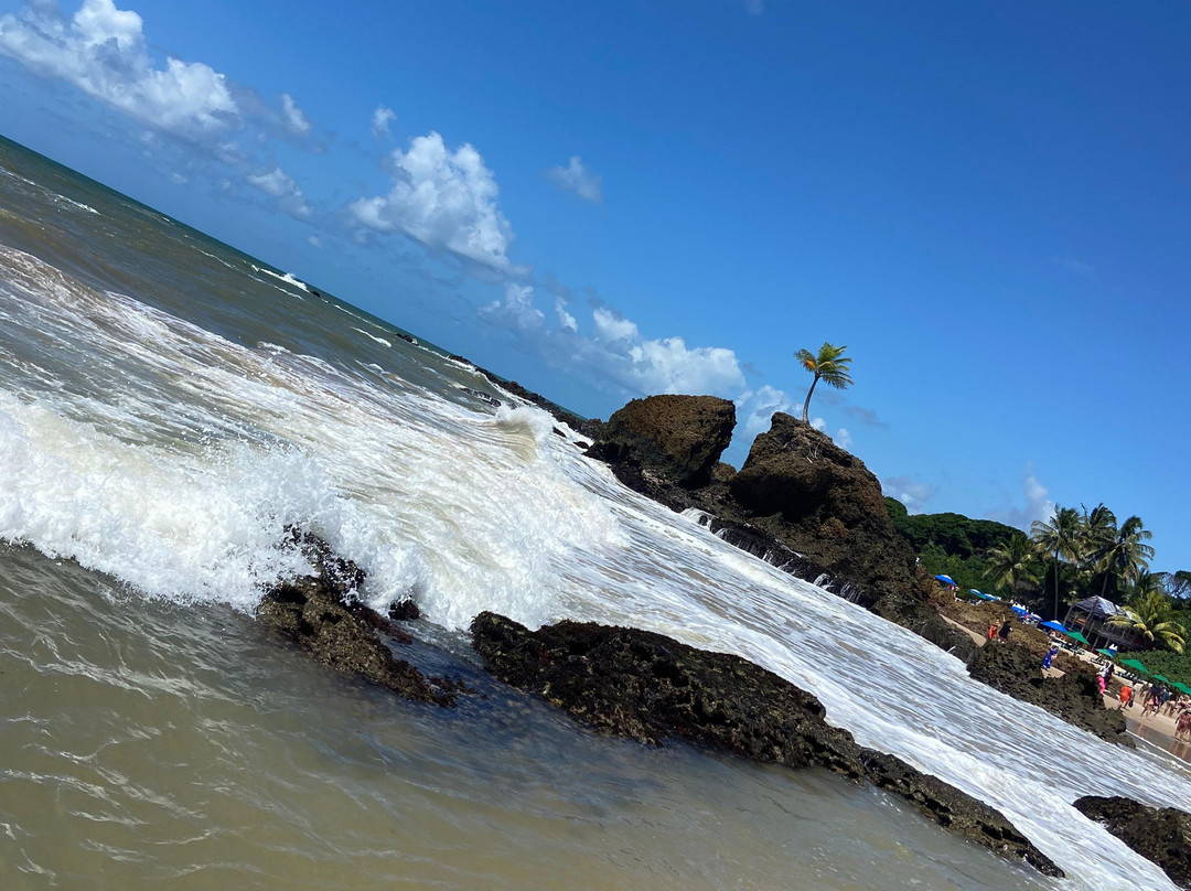 Quality Receptivo-Joao Pessoa必去景点