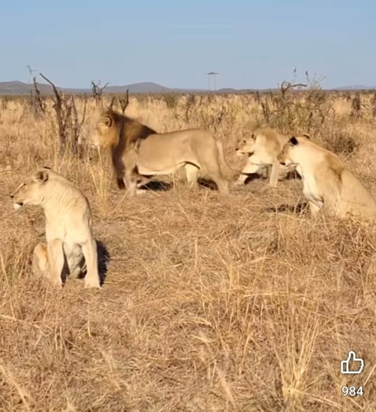 Safari Monks-Bandhavgarh National Park必去景点