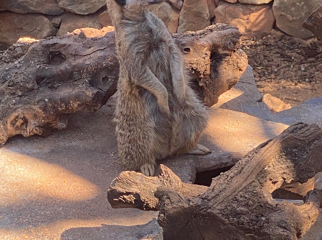 Zoa Parc Animalier et Botanique-滨海萨纳里必去景点