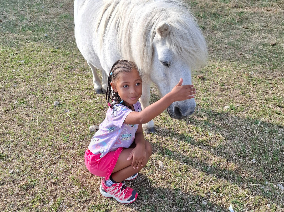 Ferme Saint Pierre主图