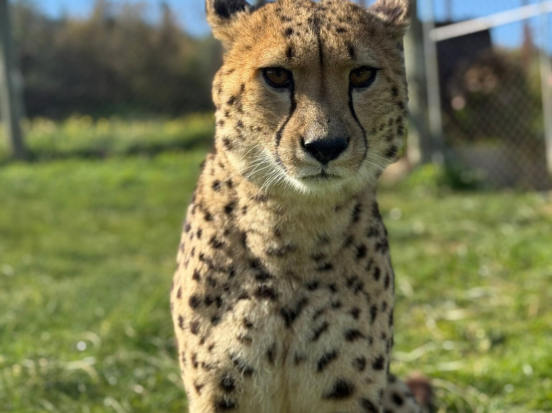 Cornell Skop-Botrivier必去景点