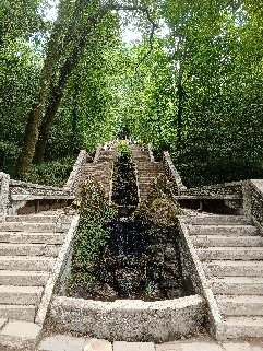 Mata Nacional do Bucaco-卢祖必去景点