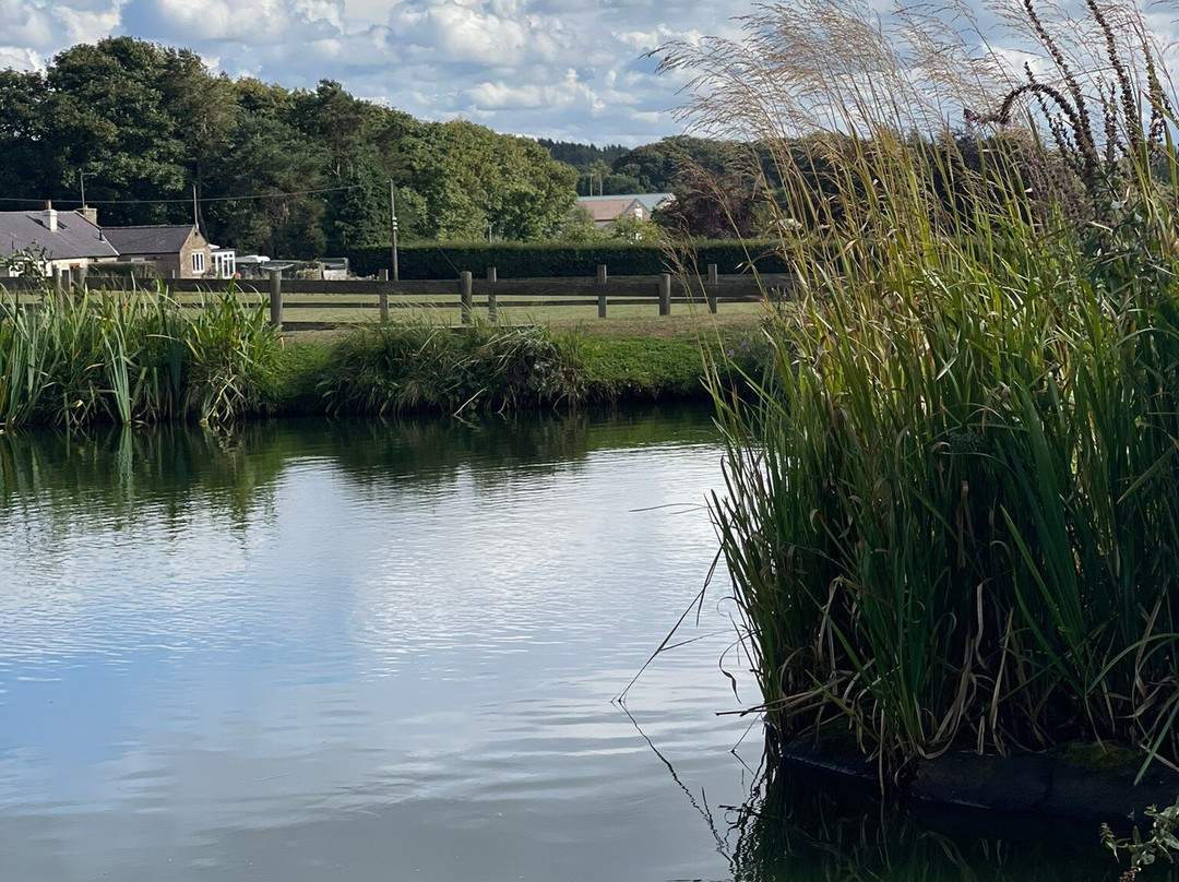 Foxholes Lake-Tansley必去景点