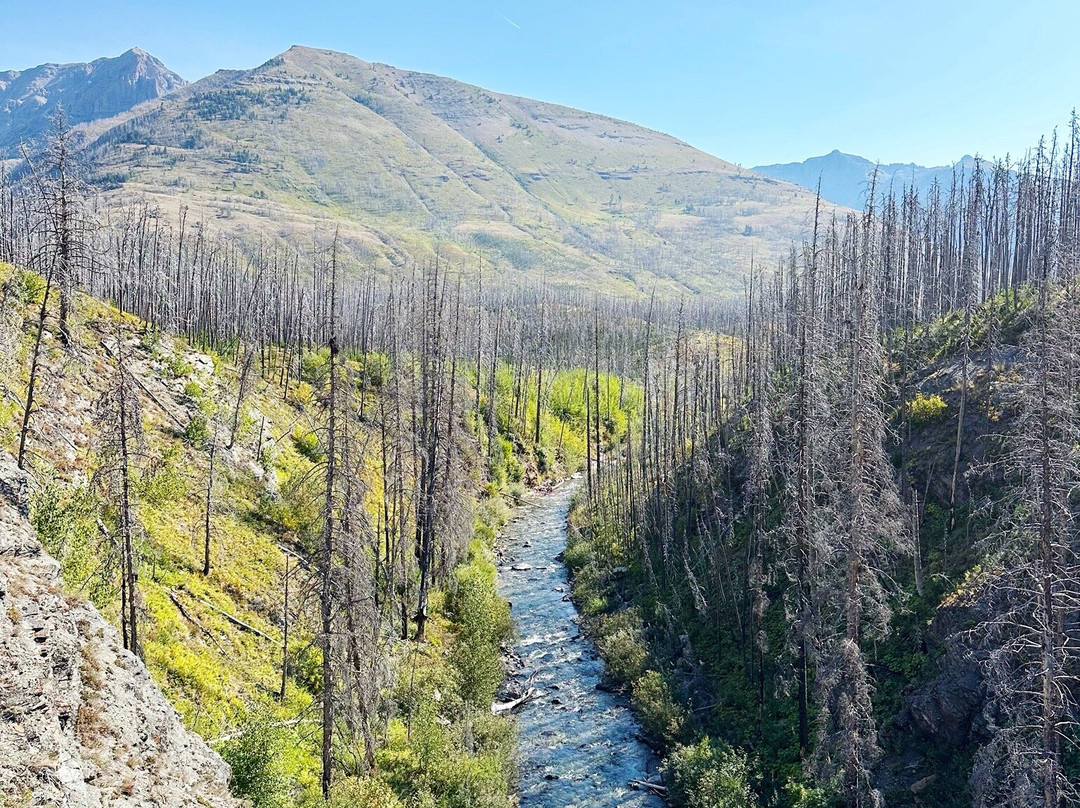 布莱基斯顿瀑布-沃特顿湖国家公园必去景点
