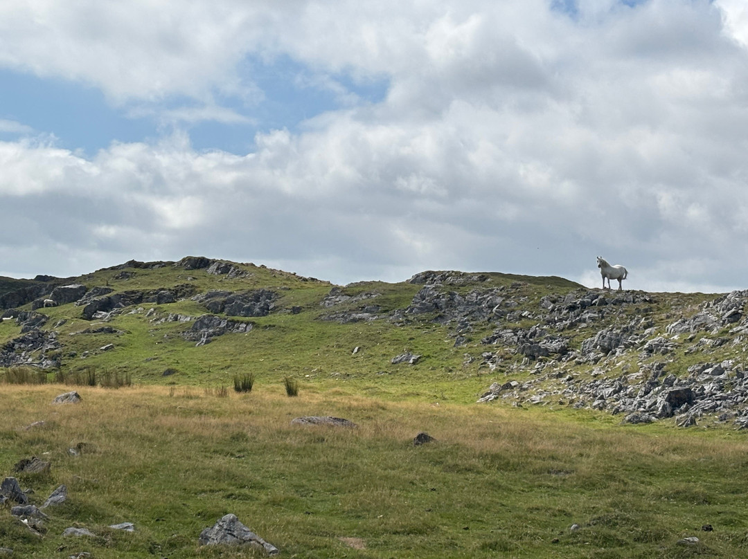 彭特利马术酒店主图