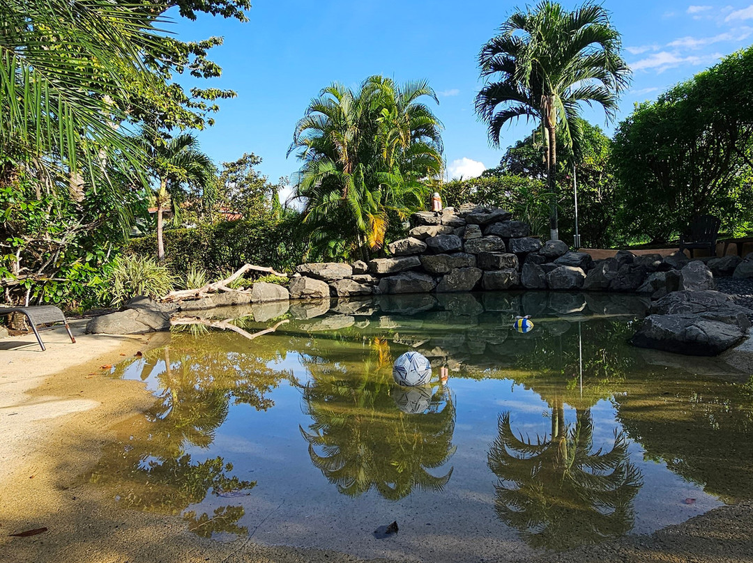 Cabañas los Colibris主图