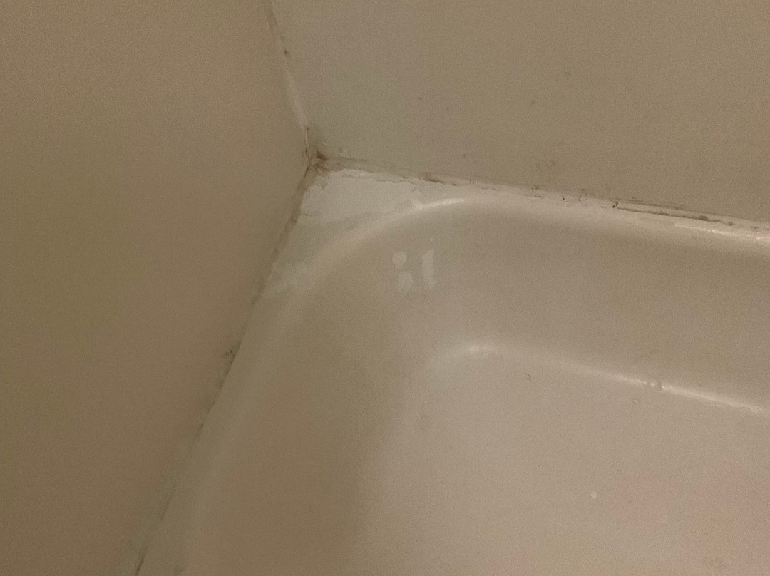 Super 8 by Wyndham Austell/Six Flags主图