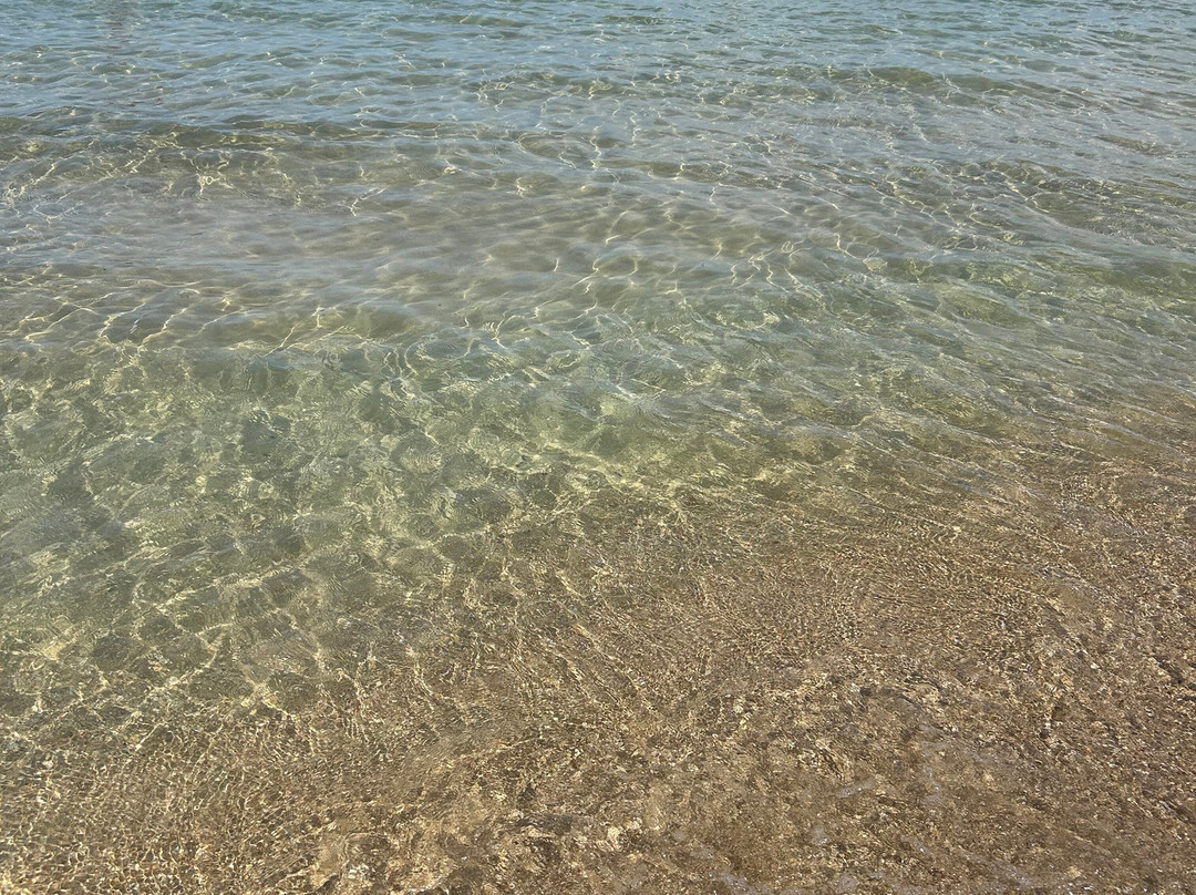 Lido San Francesco Alla Rena-巴里必去景点