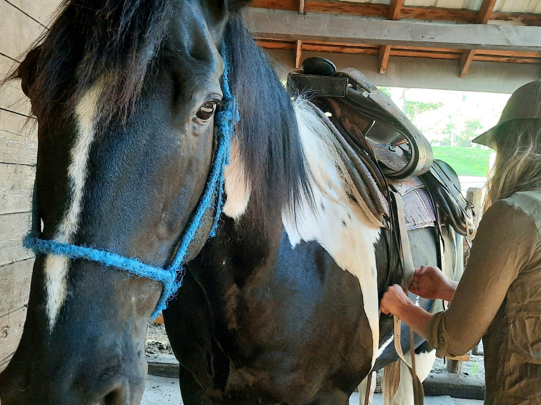 Old Entrance B 'n B Cabins & Teepees主图