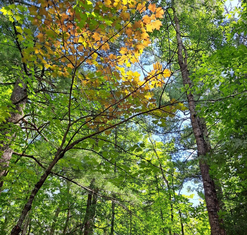 Pattison State Park-Superior必去景点