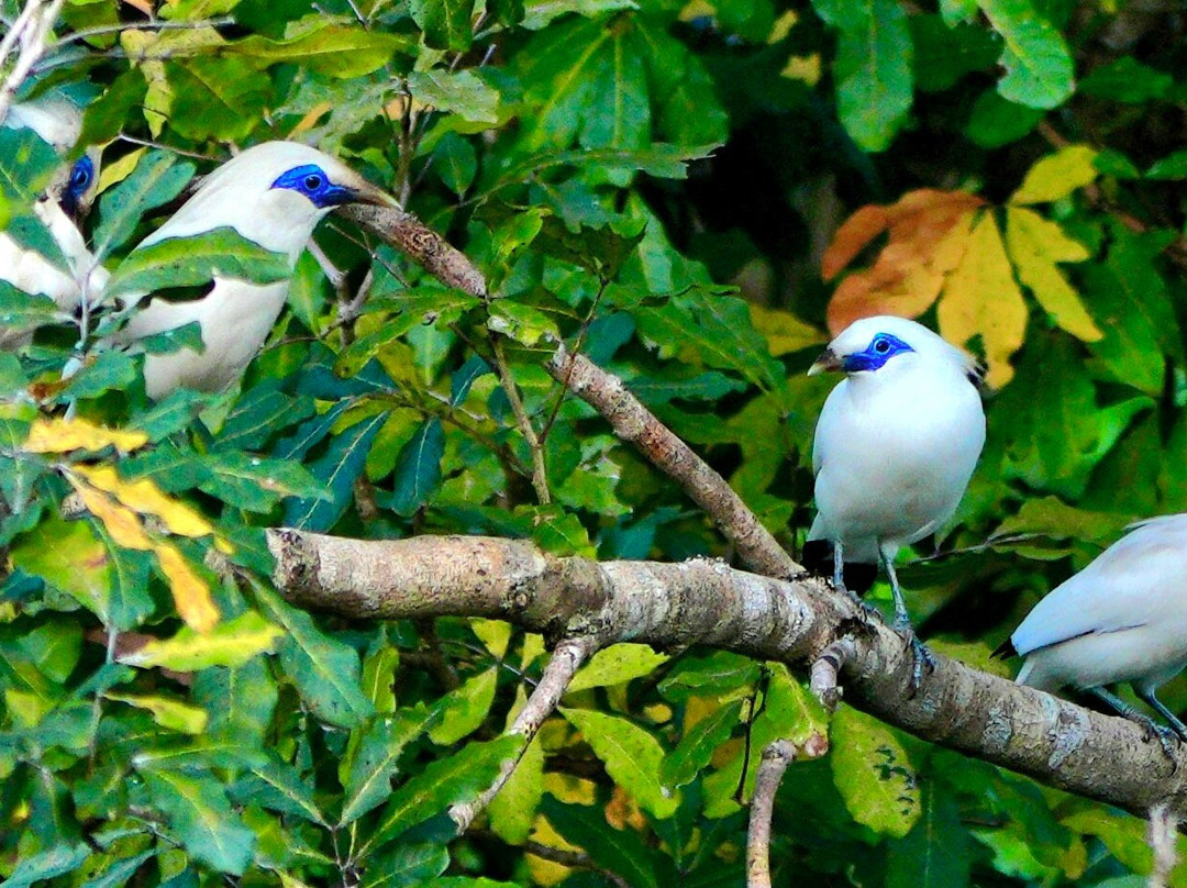 Friends of the National Parks Foundation Wildlife & Conservation Centre-珀尼达岛必去景点