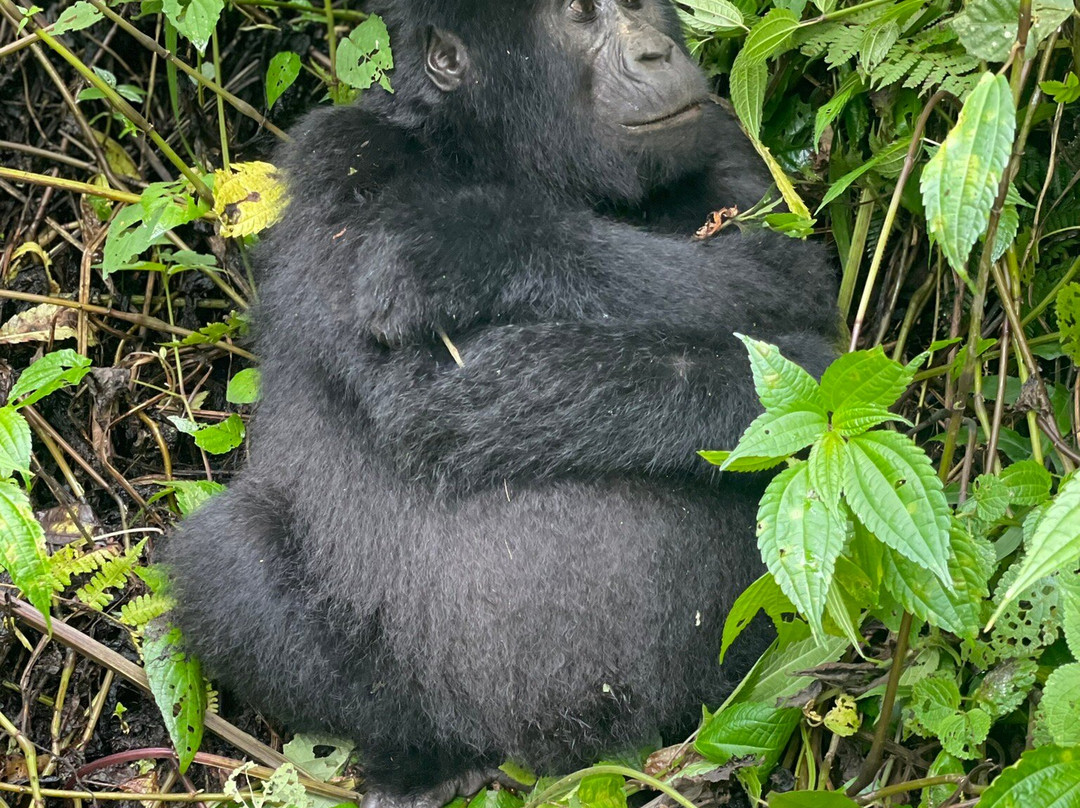 Wild Untouched Adventure-恩德培必去景点