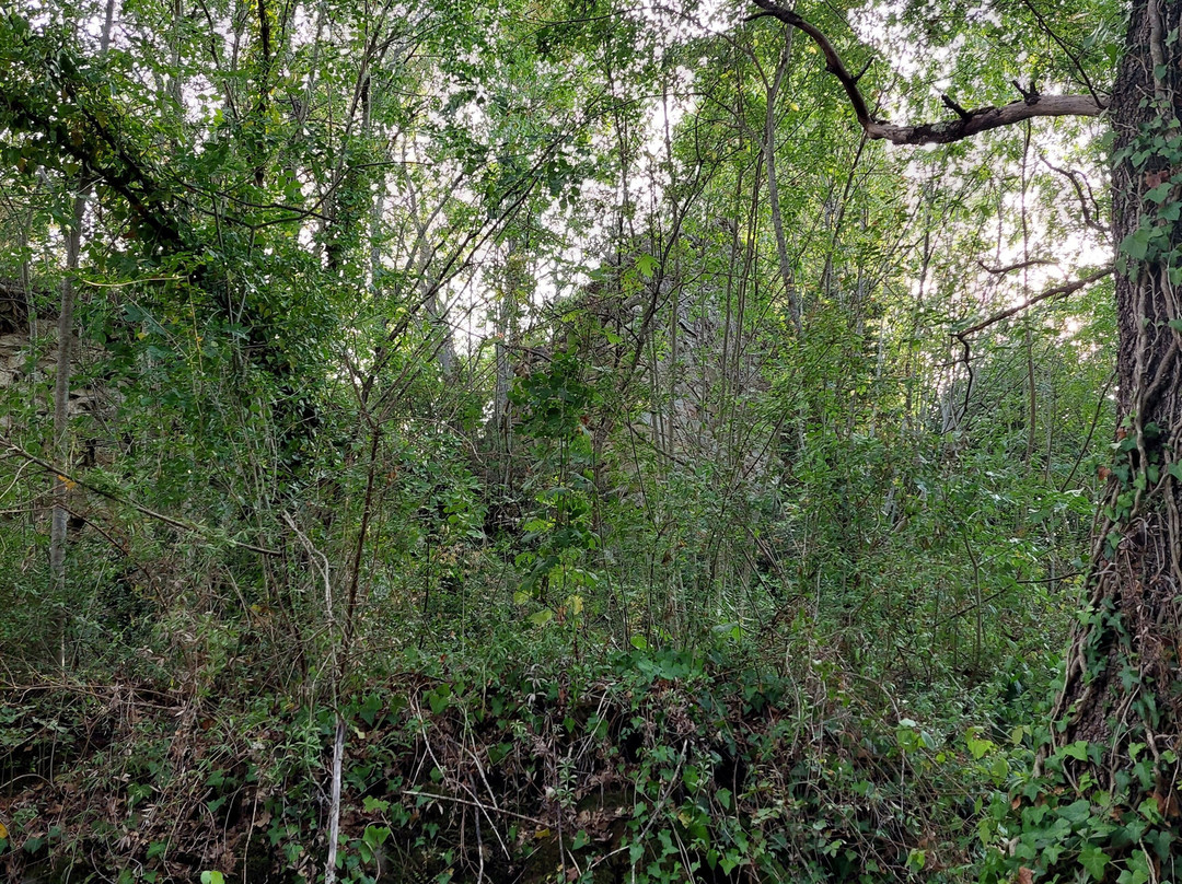 Torre di Vernazzano-Tuoro sul Trasimeno必去景点